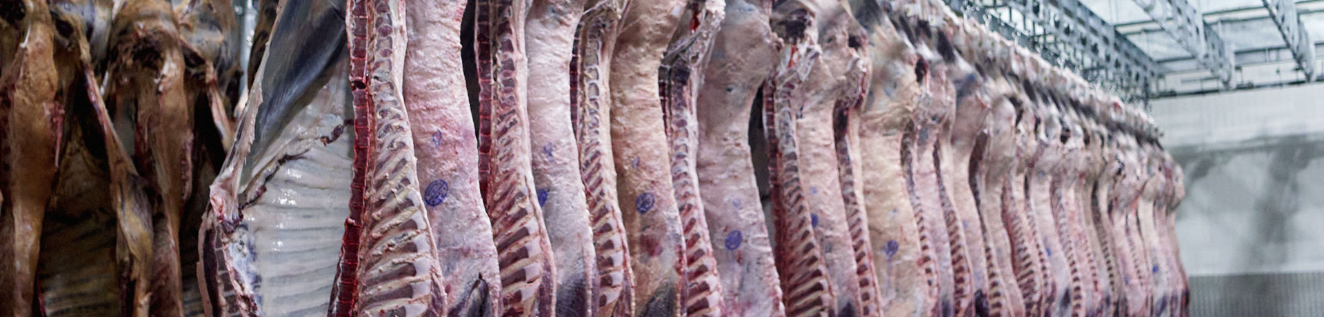 Bolivia exportó carne bovina y derivados por $us 220 millones en 2024