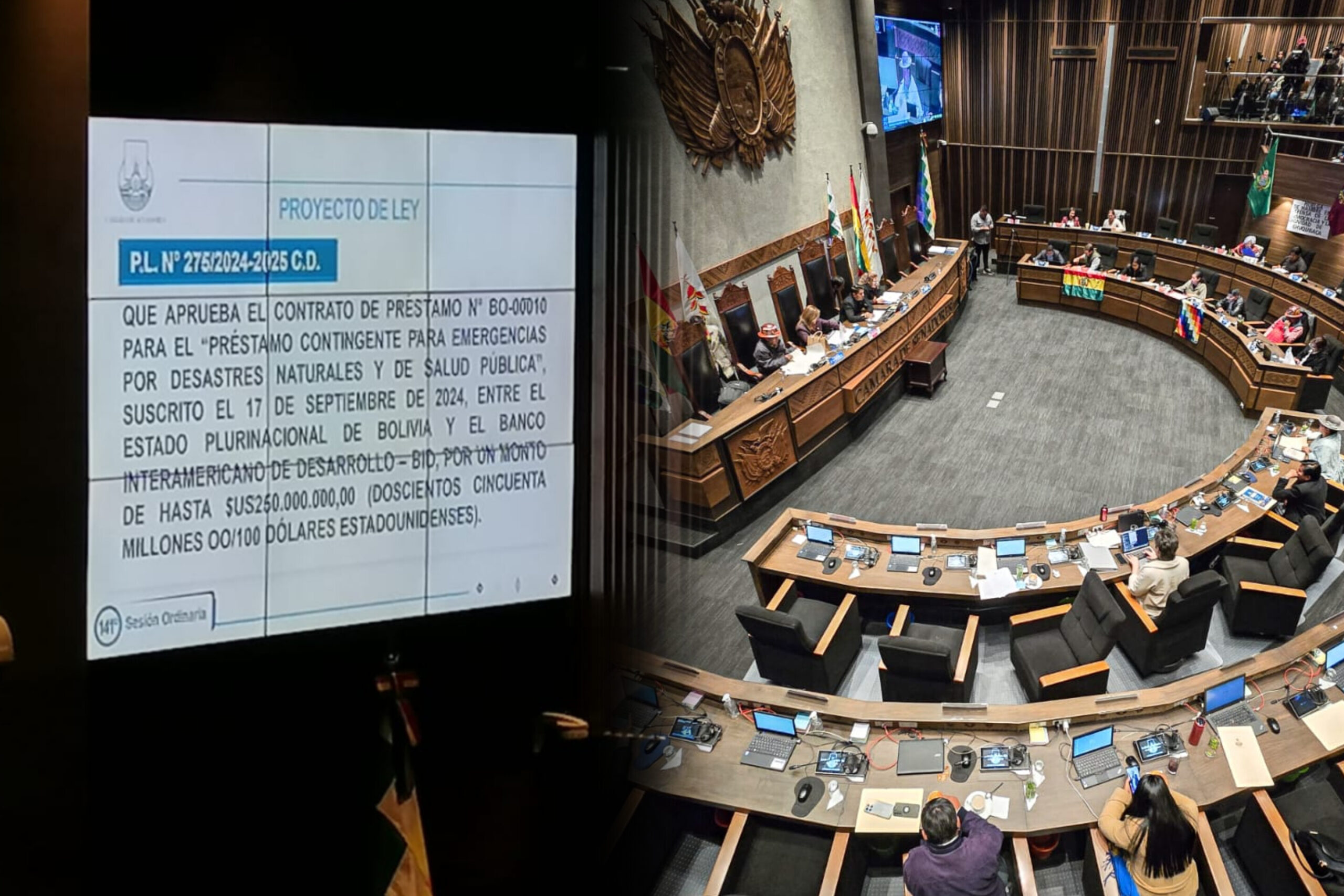 Senado aprueba crédito de $us 250 millones del BID con restricciones para su uso