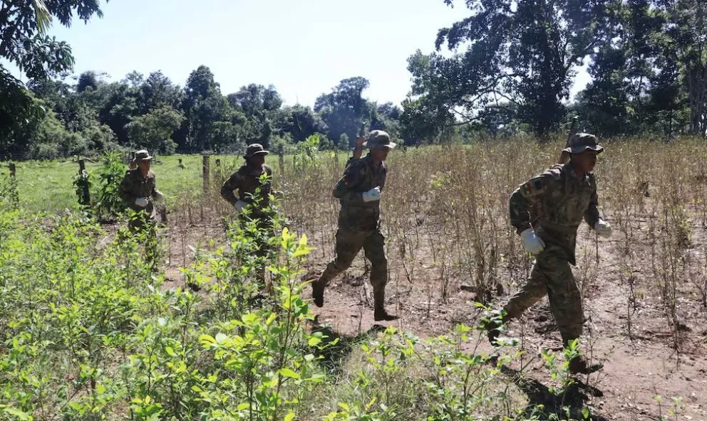 ONU alerta sobre clanes familiares involucrados en el narcotráfico en Bolivia y confirma estabilización de cultivos de coca en 2023