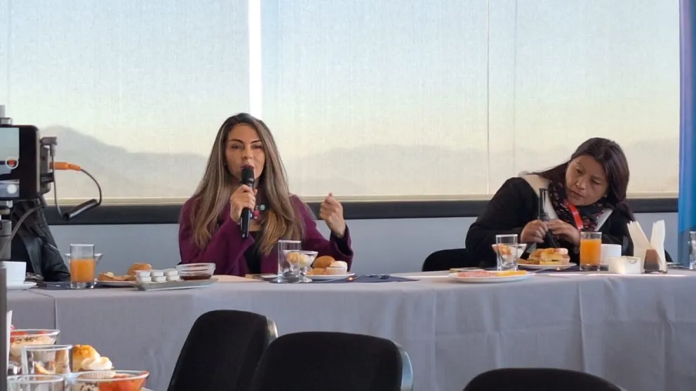 Mariana Prado presenta plan económico con créditos BRICS y eliminación gradual de subvenciones