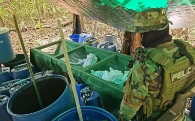 Felipe Cáceres, exzar antidrogas de Evo, habría blindado el Trópico contra operativos policiales, según exjefes