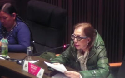 Senado agiliza trámite para ley que permitirá compra directa de combustible sin intermediación de YPFB