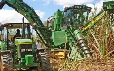 Cañeros se declaran en emergencia por posibles recortes en los cupos de etanol