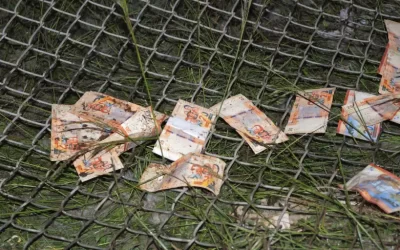 BCB admite que es difícil cuantificar cuántos billetes del avión siniestrado siguen en circulación