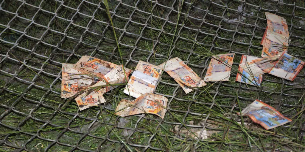 BCB admite que es difícil cuantificar cuántos billetes del avión siniestrado siguen en circulación