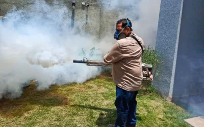 Santa Cruz registra sexta muerte por chikungunya y tercera por influenza en medio de sindemia