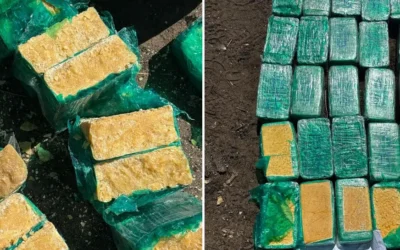 Aprehenden a sargento policial por adulterar 120 kilos de droga que debían ser incinerados
