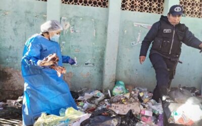 El Alto investiga hallazgo de huesos y cráneos de presuntos canes en basural de Río Seco