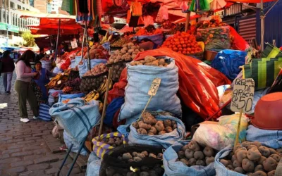 Inflación llega a 4,82% en el primer semestre de 2026 y junio marca el mayor incremento de precios, según el INE