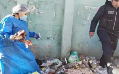 Alcaldía de El Alto confirma que restos hallados durante bloqueos eran carne de perro tras análisis de Inlasa